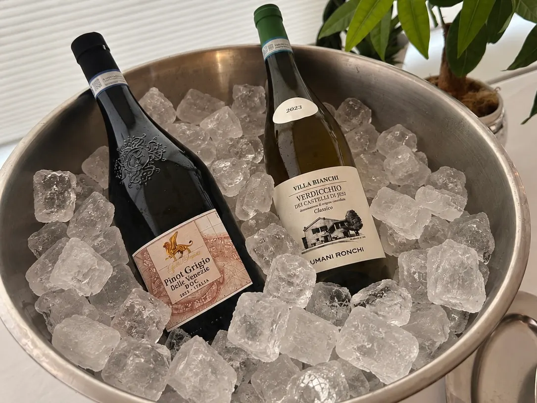 Champagneschaal met ijs en twee flessen witte wijn